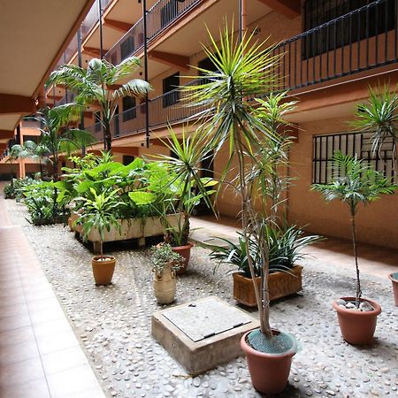 Apartamento Benidorm 3 Exterior foto
